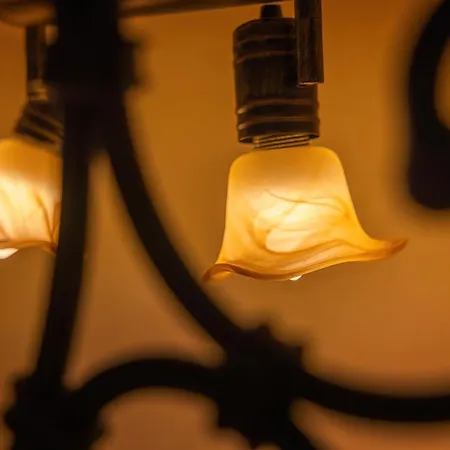 Balatura Willa